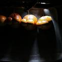 IMG_6451