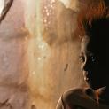 IMG_7175-4