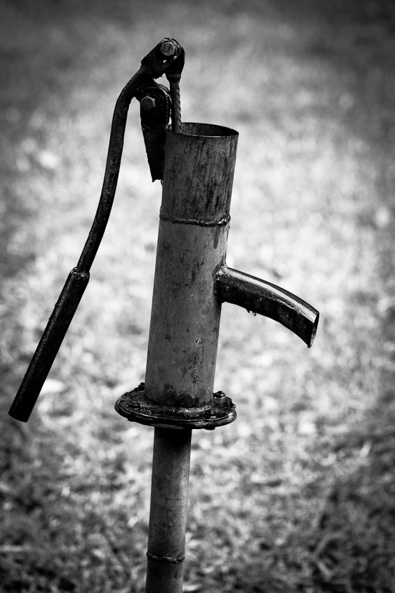 IMG_3649