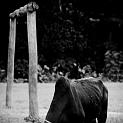 IMG_5143-2-2