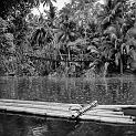 IMG_0053