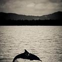 IMG_0112-5