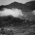 IMG_0240