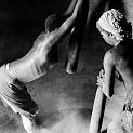 IMG_8904-4